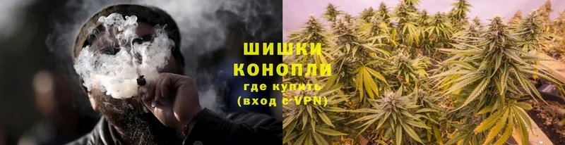 где купить наркотик  Верея  Конопля OG Kush 